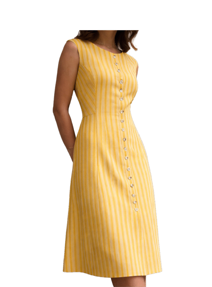 Timeless Elegance in Every Stripe | The Button-Down Dress